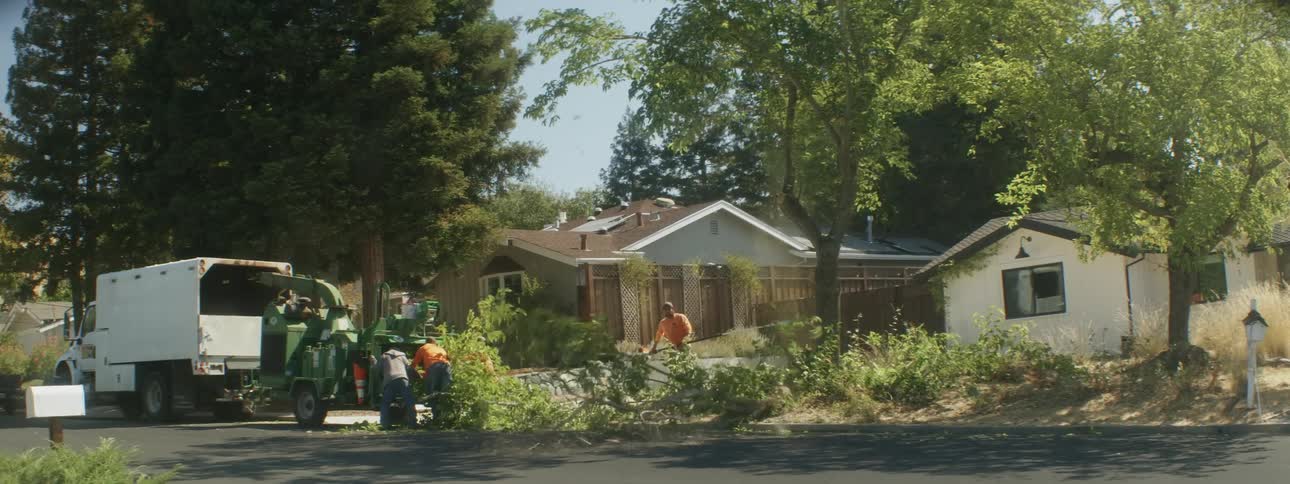 Three workers cut down tree branches in a suburban street
