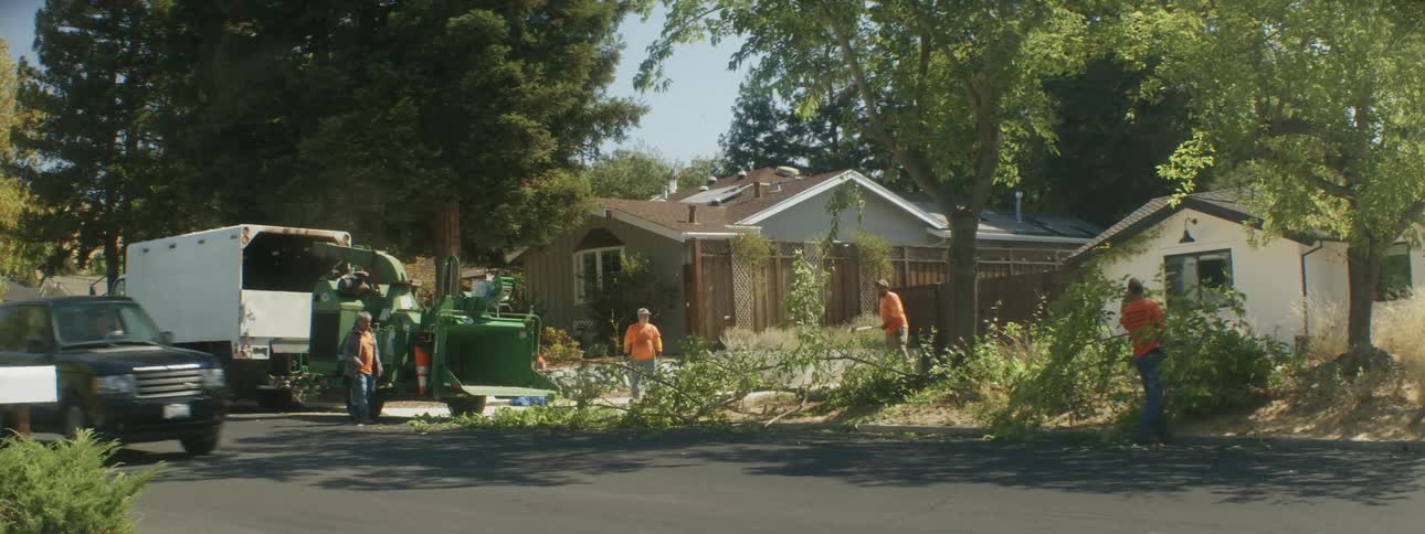 Vehicle drives by as work crew prunes tree and runs limbs through woodchipper