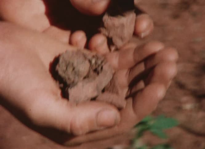 Person examines red rocks held in cupped hand