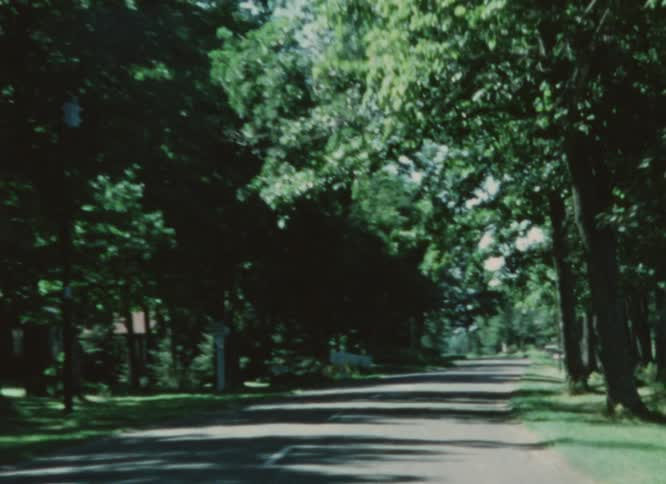 Trees line a street through a rural neighborhood
