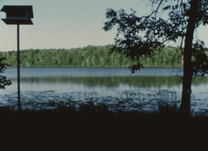 Calm surface of a lake on a vacation spot caught on vintage film