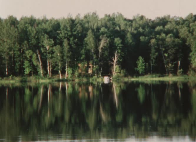 Cabin sits among forest trees near calm reflective water