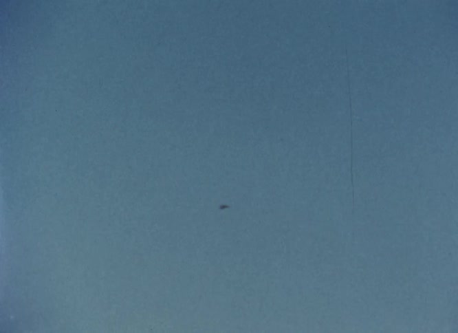 Black birds fly rapidly through the sky