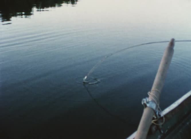 Fishing rod being pulled by a caught fish on a lake at evening