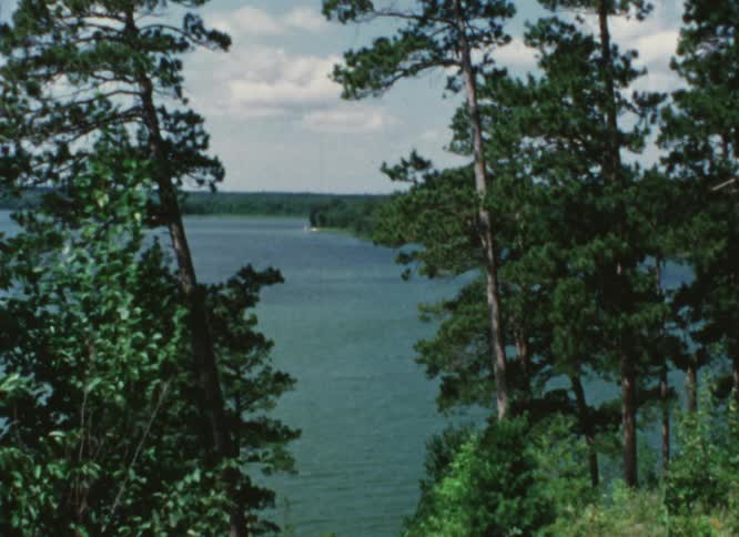 A lake is seen through the trees as the wind blows the leaves and forests are along the coast