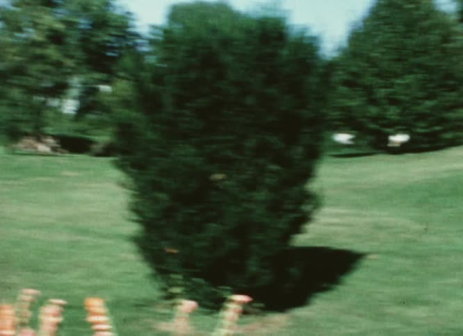 A dog runs back and forth in the backyard