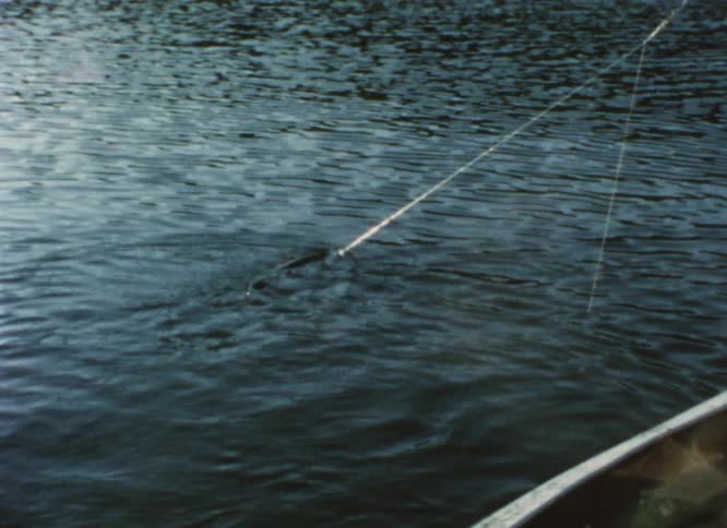 A grandpa catching a fish from a boat with his grandson