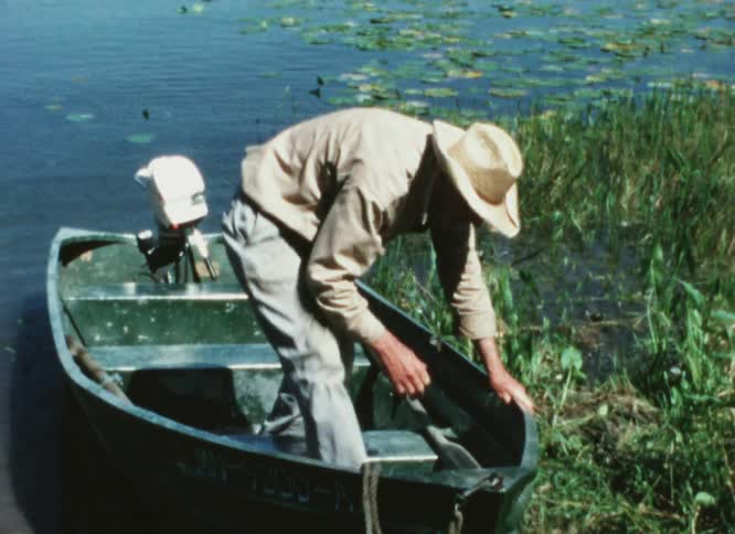 Man climbs out of powered rowboat near marsh grass