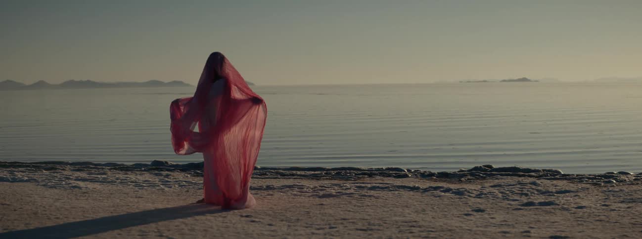 A woman in a sari stands on the beach and looks out at the water
