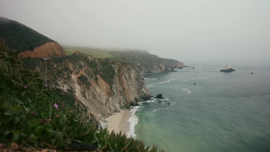 Wind blows through plants on a promontory overlooking the beach