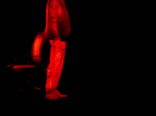 The view is of a portrait of a person that is standing up