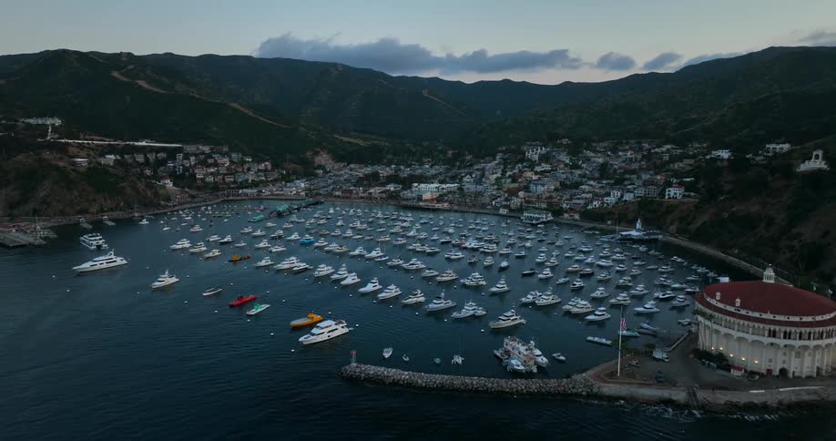Boats are parked in rows along a coastal neighborhood