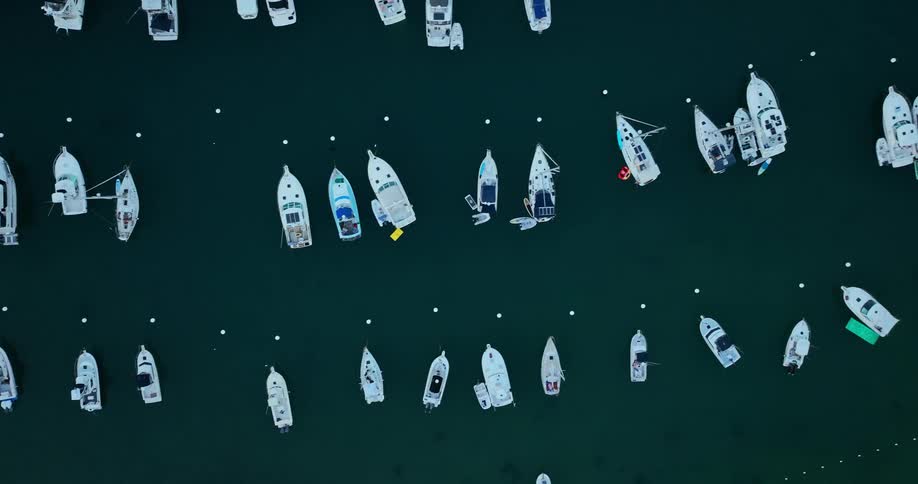Aerial view of a group of boats docked in a body of water