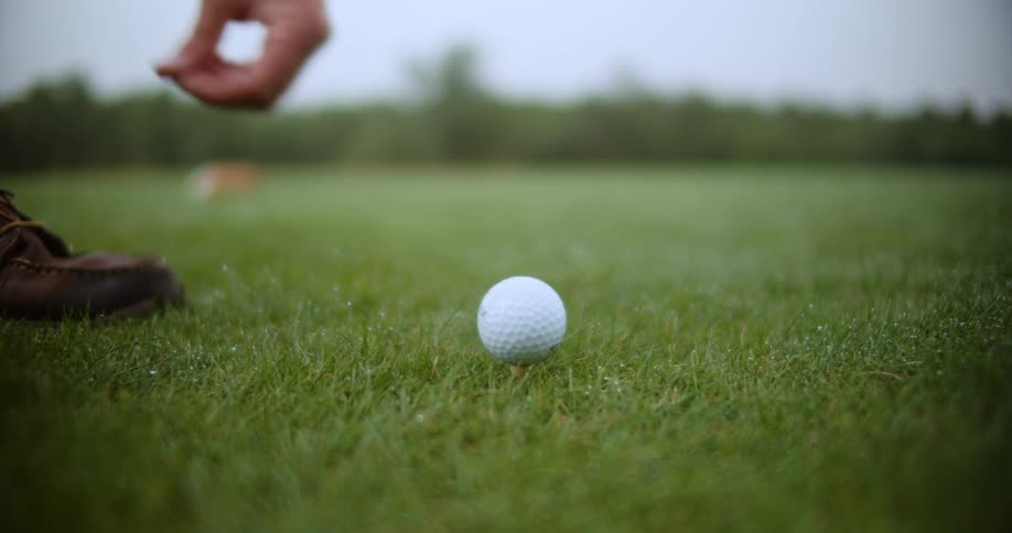 A mans hand places a golf ball on the green ready to play
