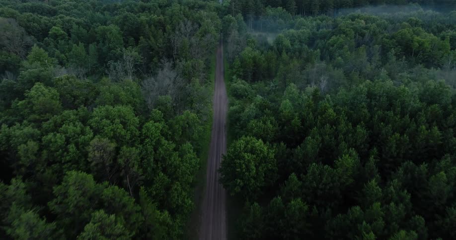 Aerial view of a road in the middle of a forest area