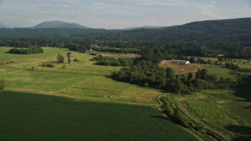 A stunning aerial view of farmland next to a forest as the drone flies over tall trees the Snoqualmie River and crop fields in Carnation Washington capturing the rustic and natural beauty of the rural landscape