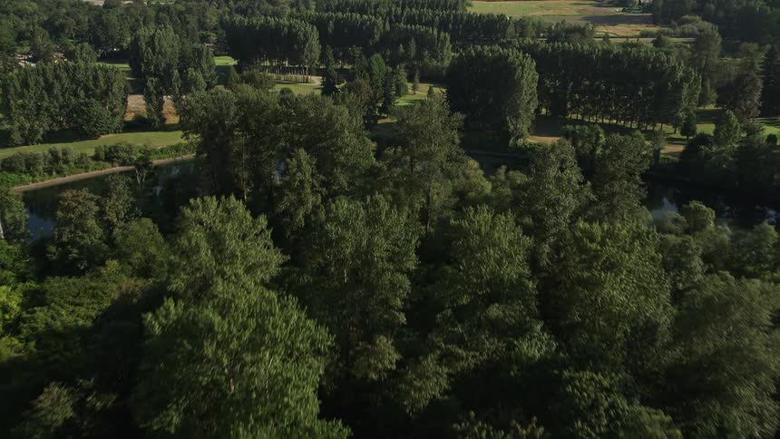 Aerial view of the groves surrounding fields and water revealing a picturesque golf course in Carnation Washington showcasing the natural beauty of the rustic landscape and serene waterways