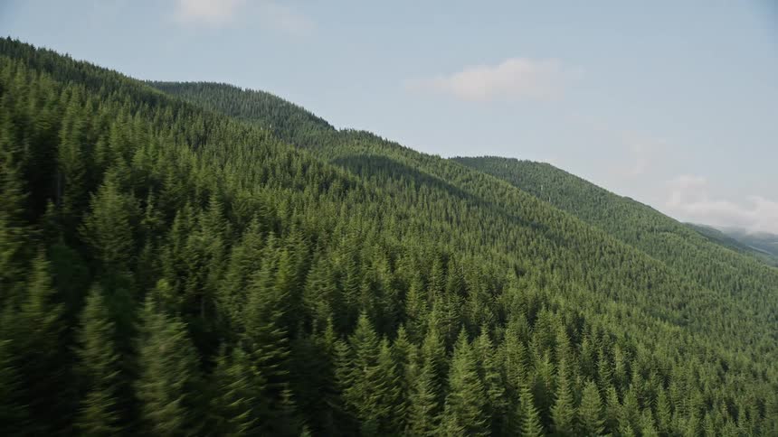 Aerial view of lush evergreen-covered mountain slopes in the Cascade Range Washington with abundant sunshine and a scenic landscape