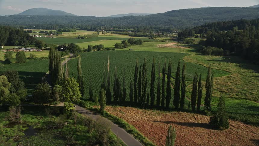 Aerial footage of farmland and crop fields in Carnation Washington with the Snoqualmie River and tall trees in the background