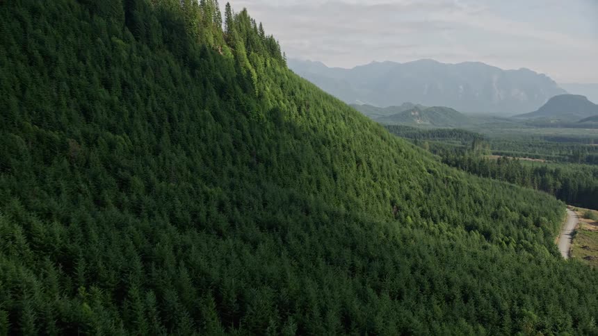Approaching aerial view of tree-filled ridge bathed in sunshine in King County Washington