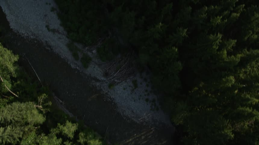 Bird's eye view of a river and evergreen trees in King County Washington showcasing the beauty of the forest during the spring