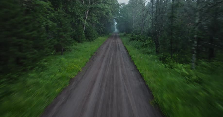 Dense woods surround the dirt road