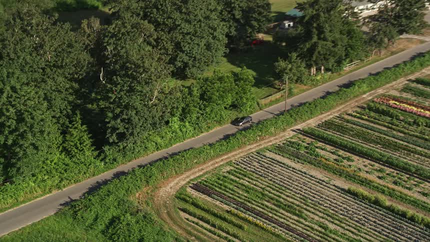 Aerial footage of a sedan driving on a country road by farmland in Carnation Washington during the day
