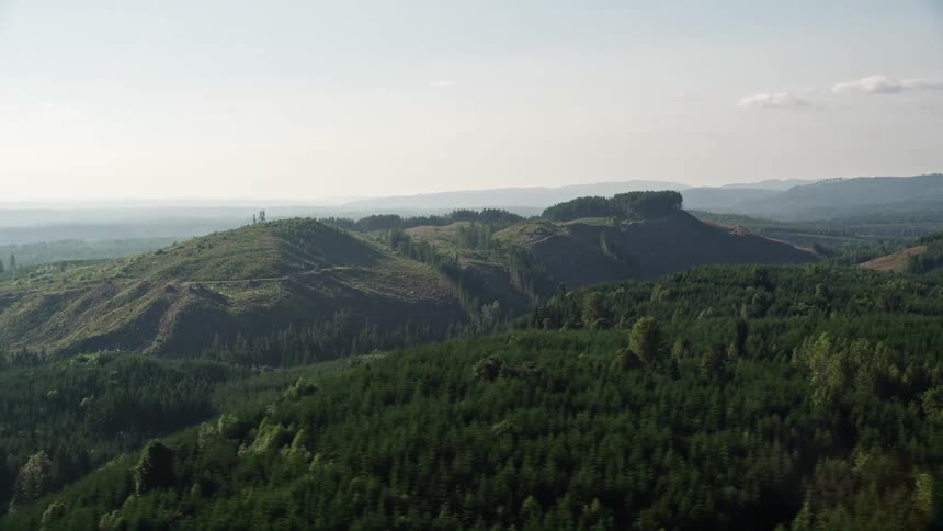 An awe-inspiring aerial view of green hills and an expansive evergreen forest in King County Washington on a sunny day