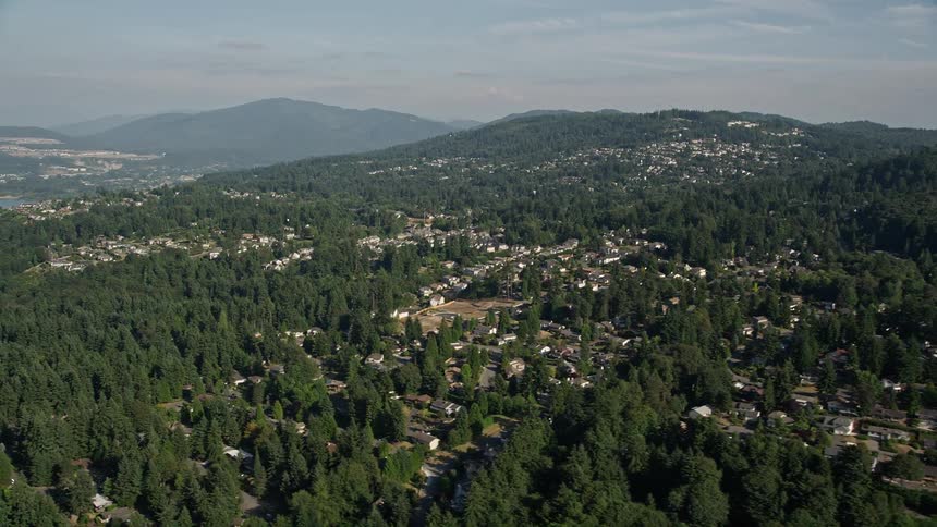 Aerial footage of sunlit suburban homes nestled in a hillside neighborhood surrounded by lush trees in Bellevue Washington