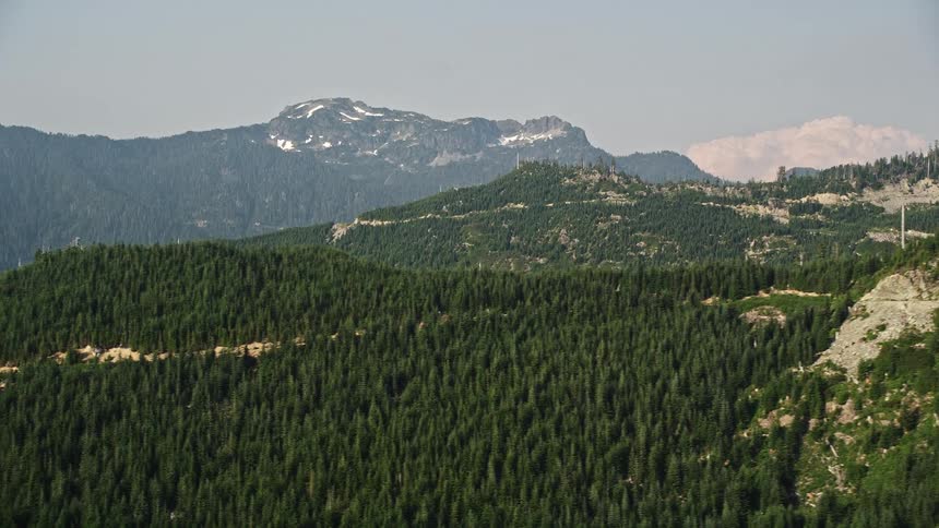 an aerial view of evergreen trees on the slope of a mountain ridge in the Cascade Range Washington with sunlight illuminating the landscape