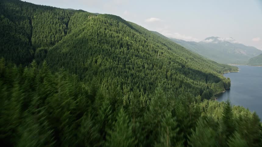 Aerial view of conifer-covered mountains surrounding a lake with mist-covered horizon showcasing the South Fork Tolt Reservoir in the Cascade Range Washington