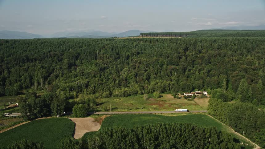 Aerial footage of farm fields and country roads leading to a forest in Fall City Washington with vibrant fall foliage and a tranquil countryside setting