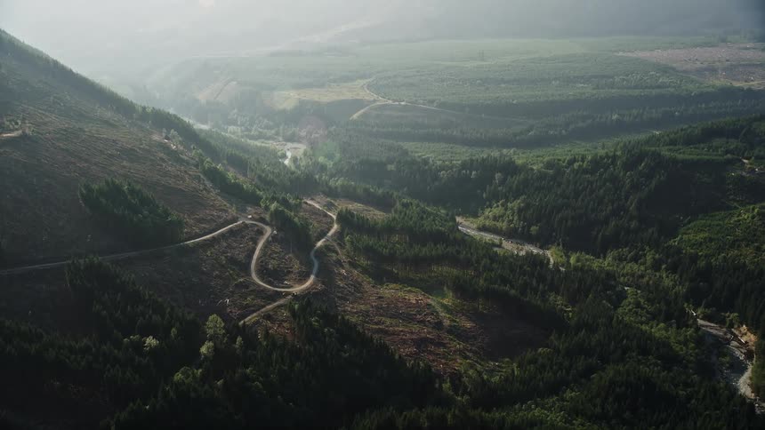 Aerial footage reveals a curving road cutting through foggy conifer woods in King County Washington showcasing the landscape and logging industry in the area