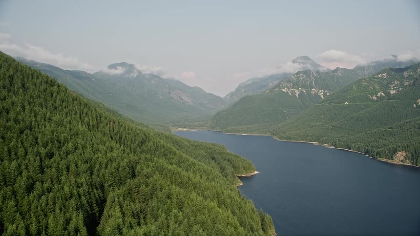 Aerial view of evergreen trees on mountain slope near South Fork Tolt Reservoir in Washington's Cascade Range