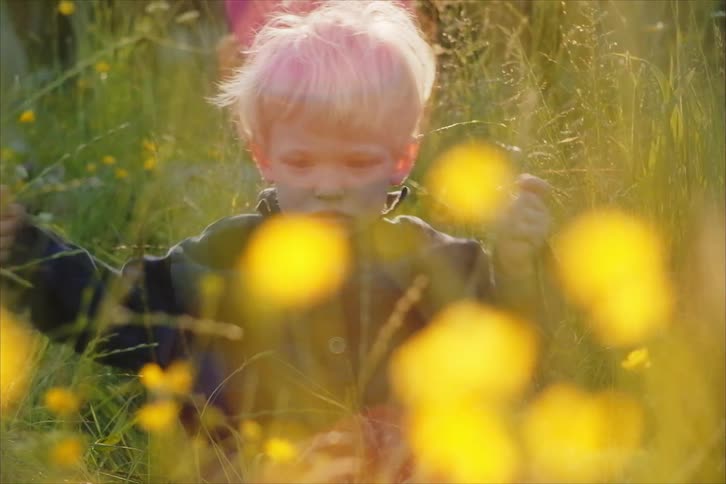 A young boy plays with flowers in a grass field