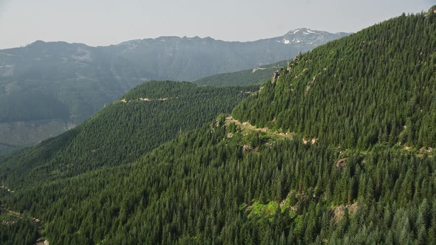 Aerial footage of a mountain ridge covered with evergreen trees in Washington's Cascade Range showcasing the beautiful natural landscape and sunny weather
