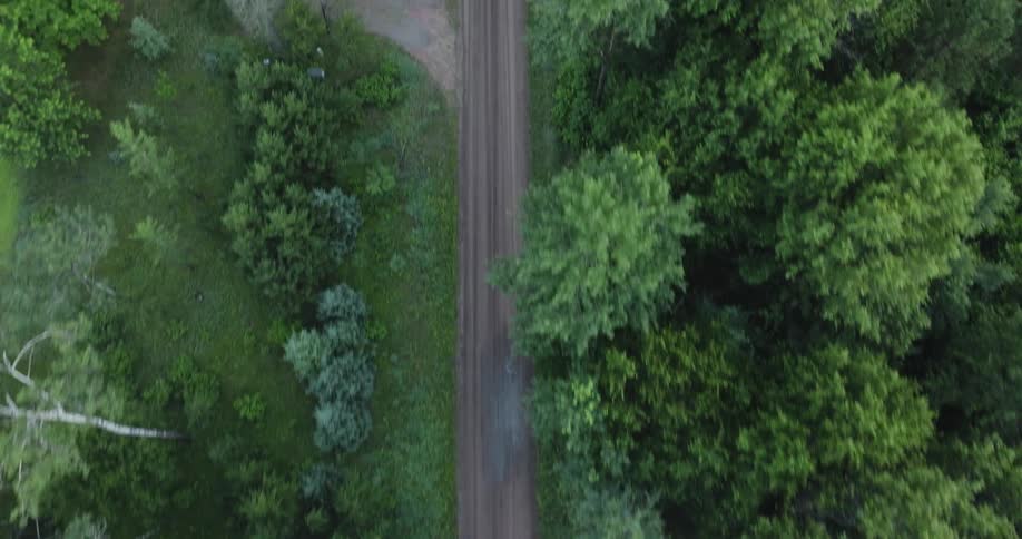 Aerial view of country road through green forest