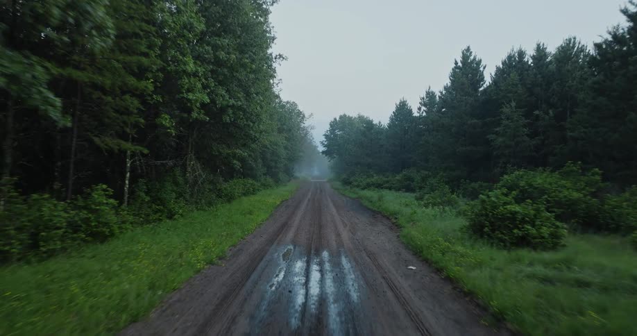 A dirt road runs through the woods