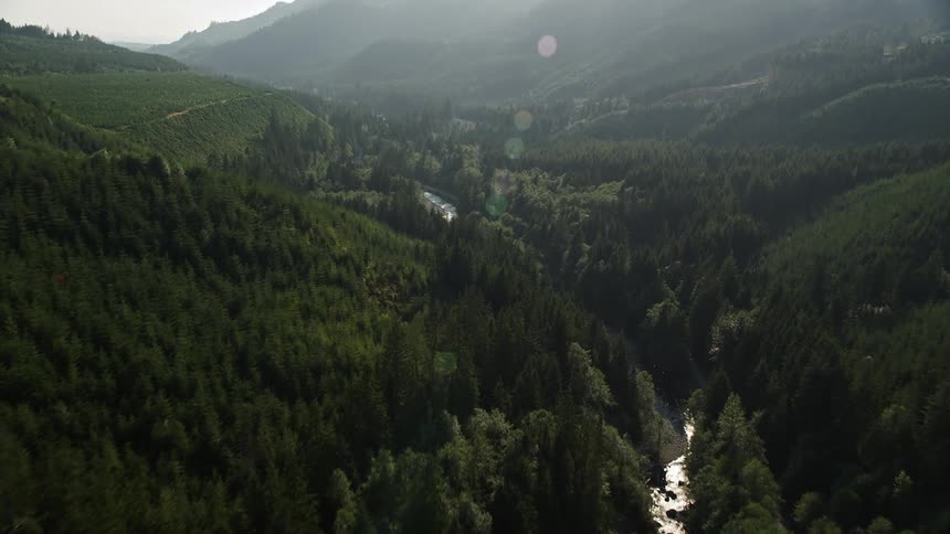 Flying over the timberland forest in King County Washington the aerial footage captures the serene beauty of a river meandering through the lush greenery