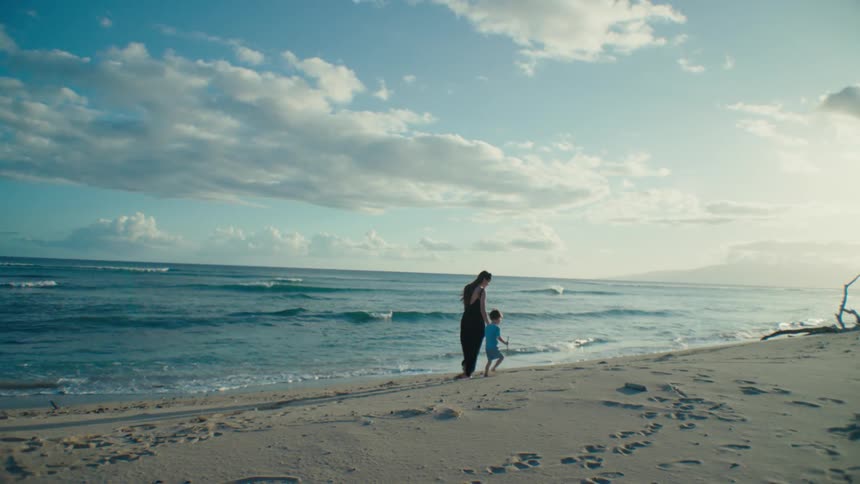 A woman and a toddler walking hand in hand on a beach following the shore line