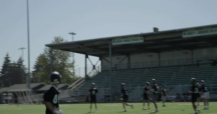 A football team practices throwing and catching on the field