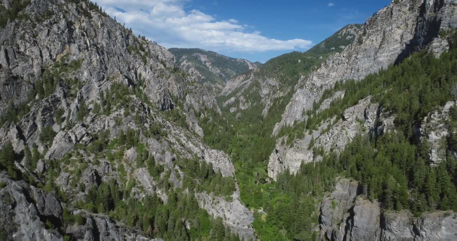 A beautiful landscape with high mountains with pine trees with the blue sky in the background