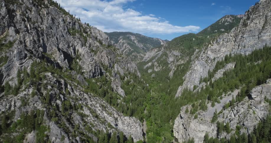 Conifer forest fills valley and portion of rocky mountain slopes under a cloudy sky