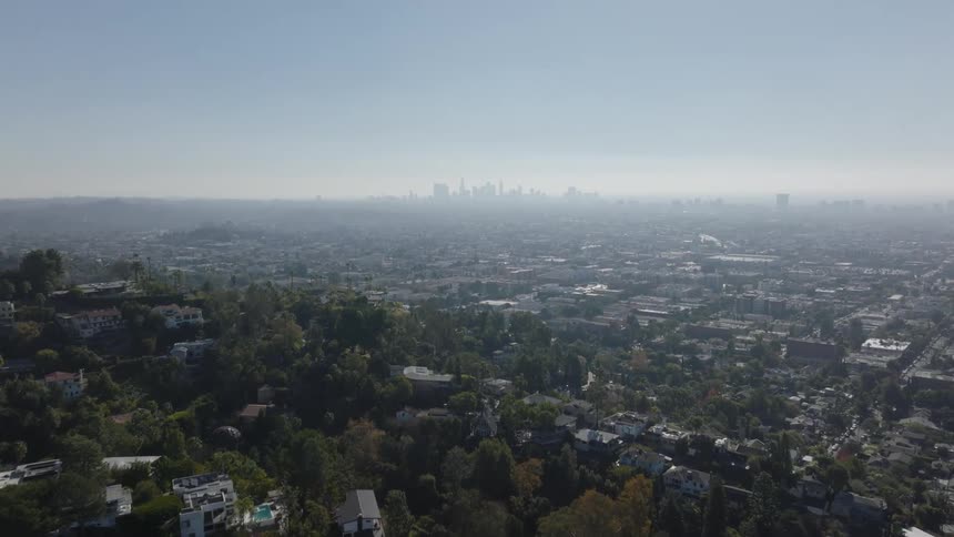 City scape separates wooded residential neighborhood from city skyline on foggy day