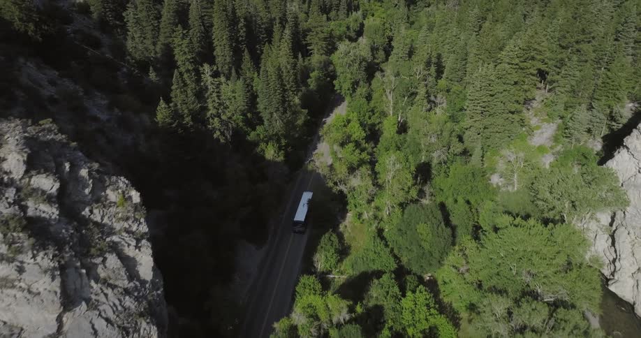 Bus travels through conifer forest between mountains