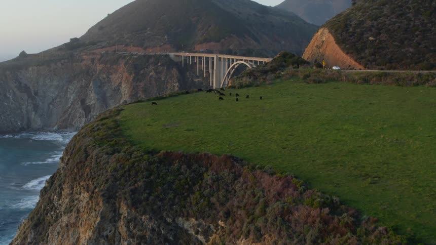 Big Sur Aerial of wildlife near Bixby Bridge