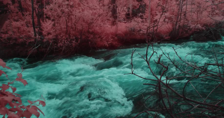 Whitewater rapids tinted blue green contrast with red foliage in woods