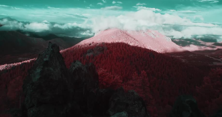 Shadow covers large portion of mountain range contrasting with vividness of red tinted conifer forest
