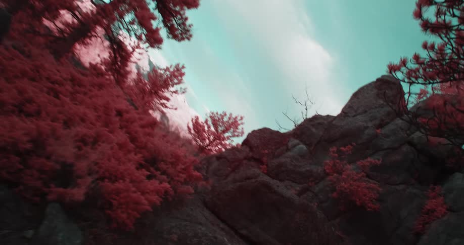 The camera weaves through red trees growing near rocky peaks