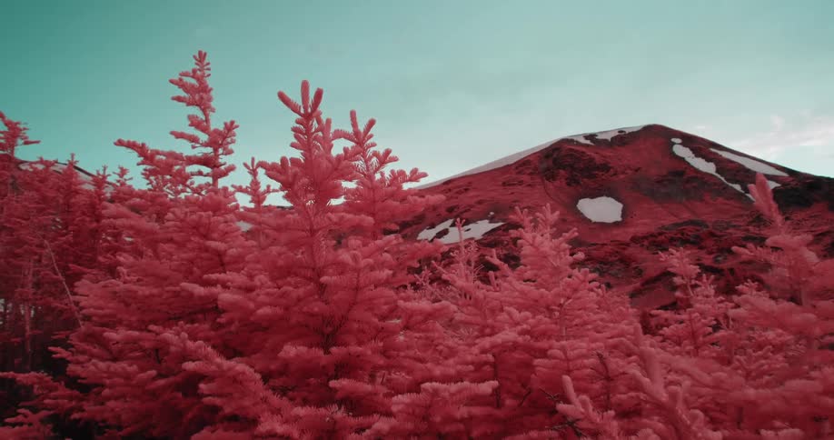 Colored filter tints conifer forest and mountain side red under a cloudy sky